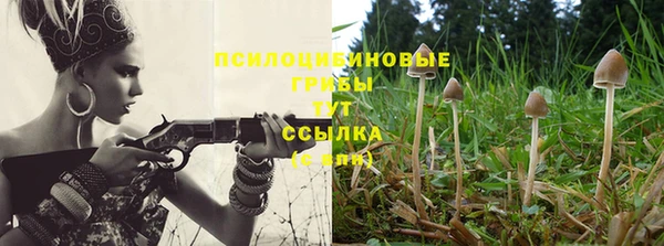 Альфа ПВП Надым