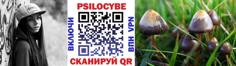 Галлюциногенные грибы прущие грибы  как найти закладки  Калининград 
