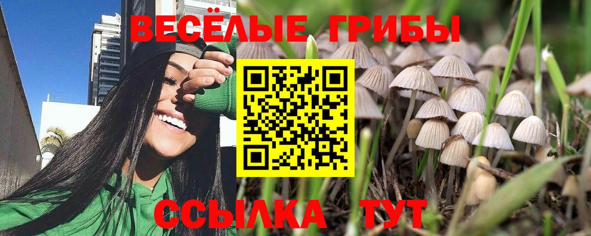 Псилоцибиновые грибы Magic Shrooms  Вход с VPN  Калининград 