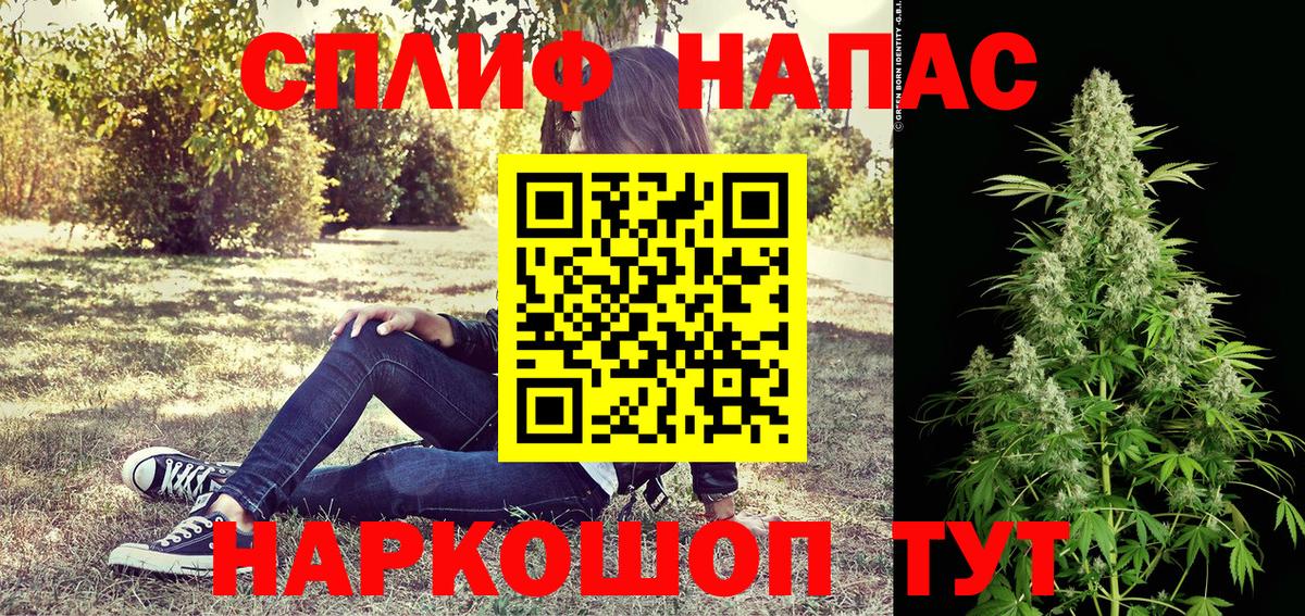 Конопля гибрид Калининград